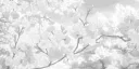 —˙꒷𝐒tar 𝐂ommunity𖦹˙¡꒱꒱ banner