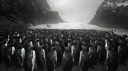 Help Gary Discord server banner