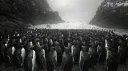 Help Gary Discord server banner