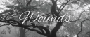/WOUNDS • semi toxic • frnds banner
