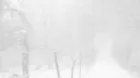 luvme 18+ banner
