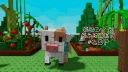 cruza scripts banner