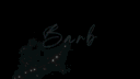 Barb™ banner