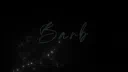 Barb™ server banner