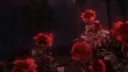 ౨ 💕 ˚₊✩‧₊ Megumii // ฅ server banner