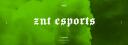 ZNT-ESPORTS™ Banner