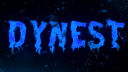 Dynest | Services banner