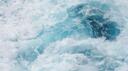 ⋆ Seapup Bay .ᐟ๋࣭⭑ Banner