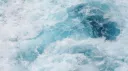 ✦⋆ Seapup Bay .ᐟ🦈๋࣭⭑ server banner