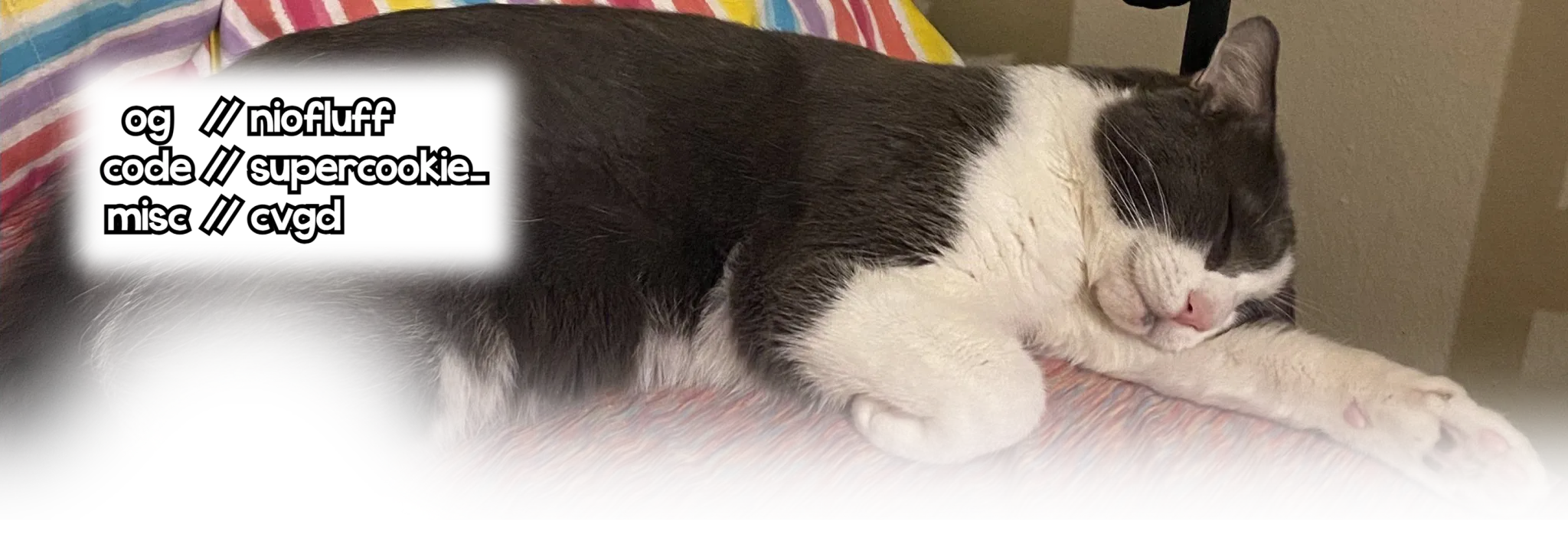 Soggy Cat Every Hour#2229 banner