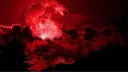 The Crimson Cafe Discord server banner