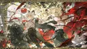 Noi Discord server banner