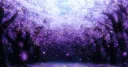 ᴇɴᴄʜᴀɴᴛᴇᴅ ɢᴀʀᴅᴇɴ 18+ Discord server banner