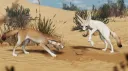 Sahara Survival banner