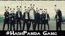 IdioticPanda14’s server Banner