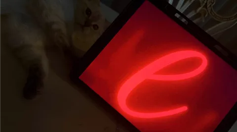 Evolves Café banner