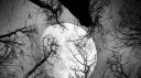 ℳ𝑜𝑜𝓃𝓁𝒾𝑔𝒽𝓉🌙 server banner