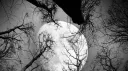 โณ๐๐๐๐๐พ๐๐ฝ๐๐ Discord server banner