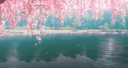 ˚₊‧꒰ა Angels ♡ Lounge ໒꒱ ‧₊˚ server banner