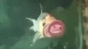 immortal server Discord server banner