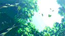Marius banner