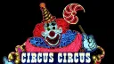 ๐๐ก๐ ๐๐๐ง๐ฏ๐๐ฌ ๐๐ข๐ซ๐๐ฎ๐ฌ Discord server banner