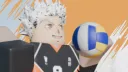 Indian Volleyball Academy banner
