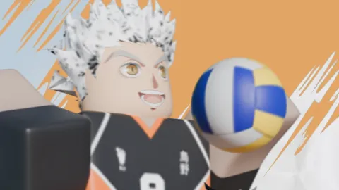 Indian Volleyball Academy banner