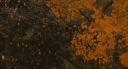 eso Banner