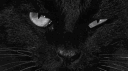 🕯⋆⭒˚｡⋆ banner