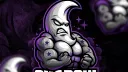 ShadowX Private banner