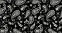 SBEW: NLMB banner