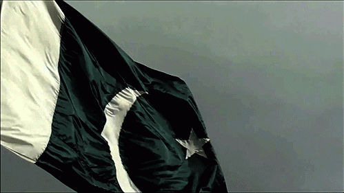 /pak Discord server banner