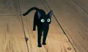 𝒑𝒆𝗿𝙨𝖏𝗳𝗹𝝰𝒈𝒆 Discord server banner