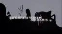 𝐓𝐡𝐞 𝐖𝐢𝐥𝐝 𝐖𝐢𝐧𝐝𝐬 𝐚𝐭 𝐝𝐚𝐰𝐧 ༄ server banner