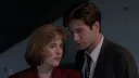 X-files club banner