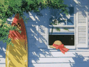 banner