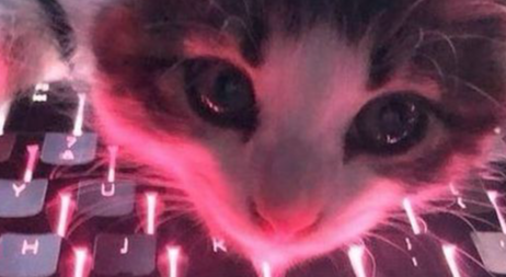 The Frontier Discord server banner