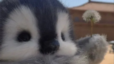 Black City Discord server banner