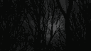 /painful banner