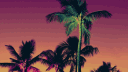 𝐒𝐇𝐀𝐃𝐄𝐑 𝐒𝐔𝐏𝐏𝐎𝐑𝐓 banner