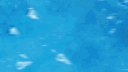 ICE SHØP - GENERATOR banner