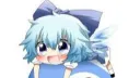 Cirno Appreciation Club banner