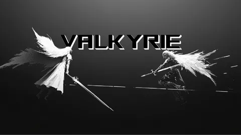 Valkyrie banner
