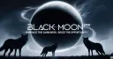 Black Moon Banner