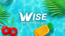 🌊 Wise | GTA RP banner