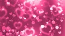 ❀⋆ orchid ✦ Discord server banner