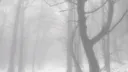 ノ𝒘hisper Discord server banner
