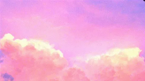 Wholesome Palace banner