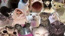 Goon Lagoon server banner
